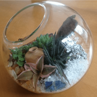 Mouth Globe Terrarium