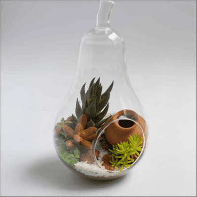 Hanging Pear Terrarium