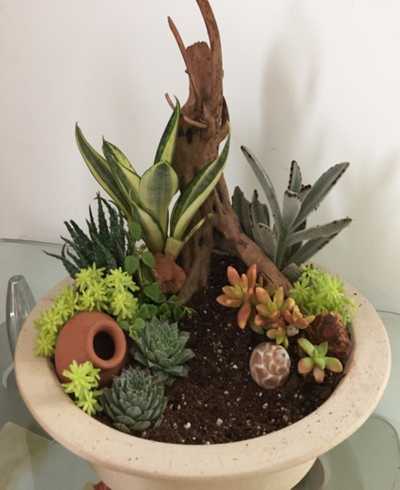Stoneware succulent planter